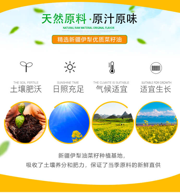 独库情纯香菜籽油5L