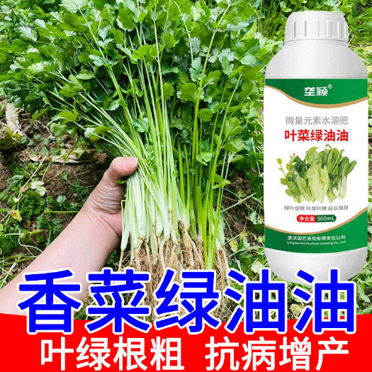 香菜专用叶面肥料蔬菜芫荽防黄叶干枯死苗生长剂抗病提质增产