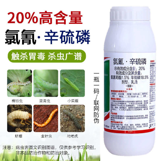 新沂市20%氯氰菊酯辛硫磷地蛆地老虎蛴螬金针虫韭蛆蒜蛆地下害虫杀虫