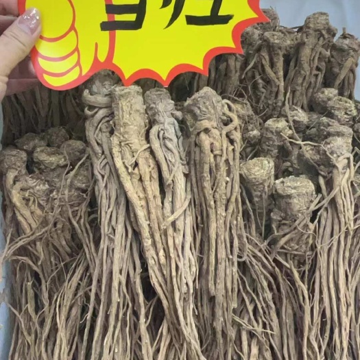 成都【当归个子无硫岷归当归原装】