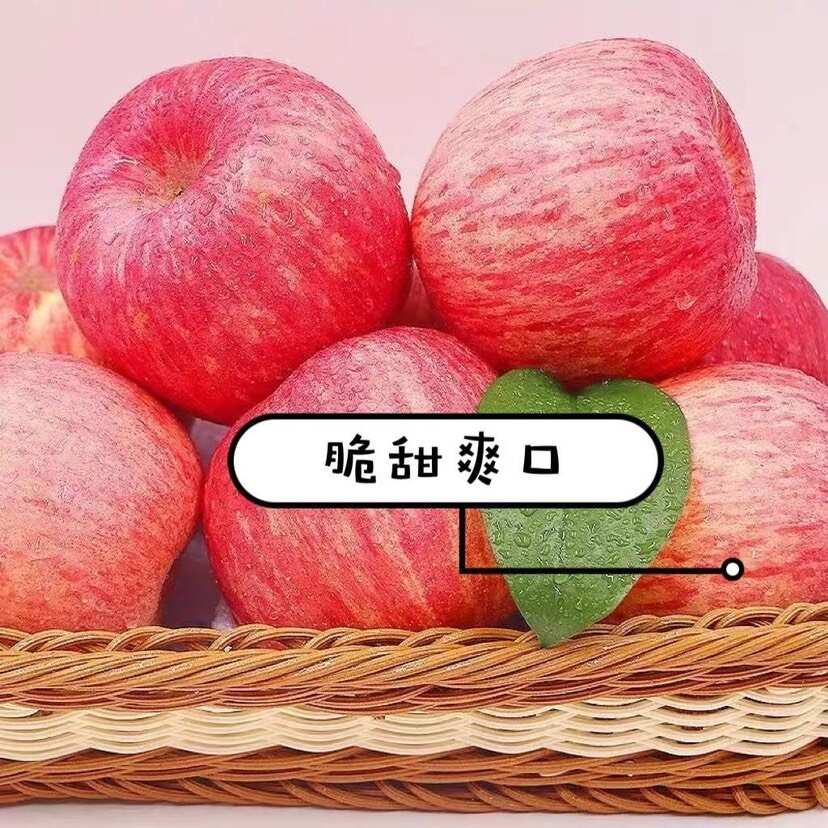 山東萬鑫果蔬