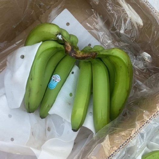 上海菲律宾二级青蕉现货1000箱果面干净保质保量！