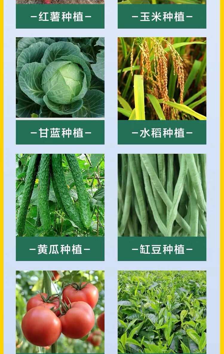 黄枯原粉微生物菌剂农用果树蔬菜植物杀菌剂长枝木霉枯萎立枯炭疽