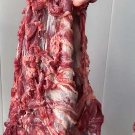 惠民县草地小羊肉，鲜羊肉，纯干羊肉，