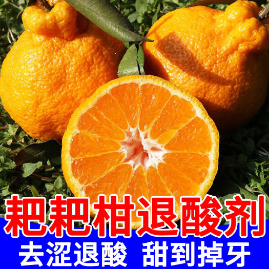 耙耙柑退酸剂专用甜蜜素果树柑橘脐橙苹果脱酸剂降酸增甜剂叶面肥
