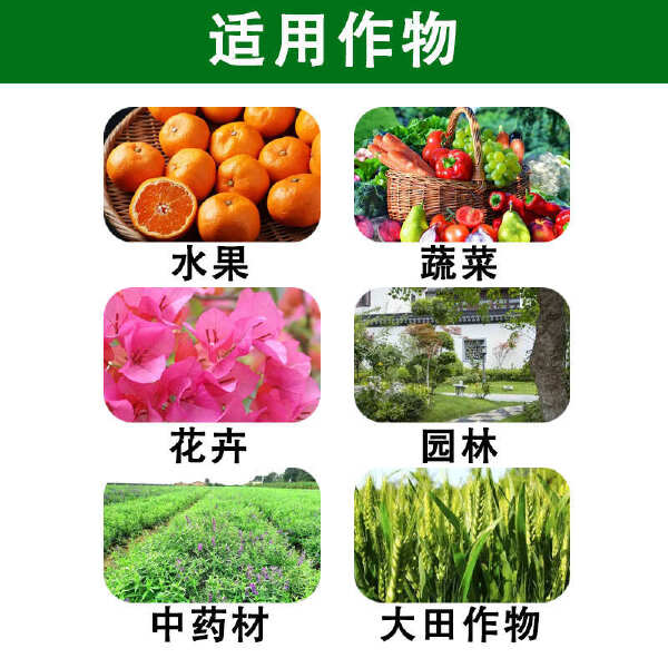 钙镁堡肥果树蔬菜番茄苹果补钙补镁增产通用水溶肥料