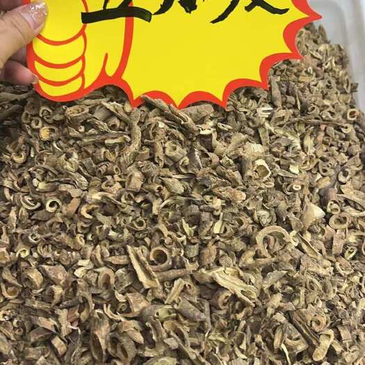 成都五加皮
