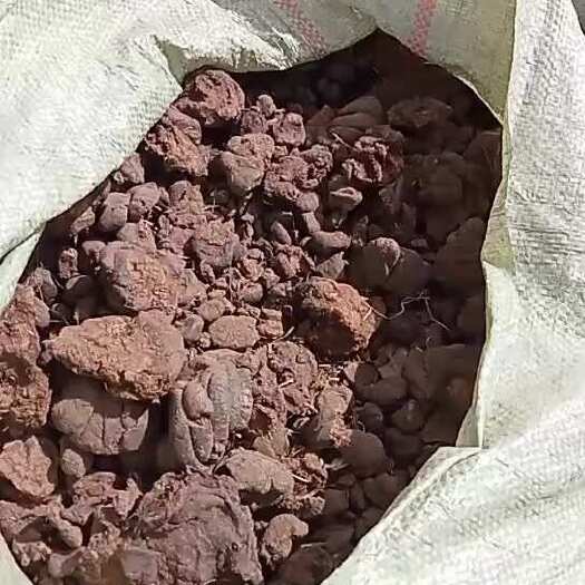 若尔盖县干牛粪