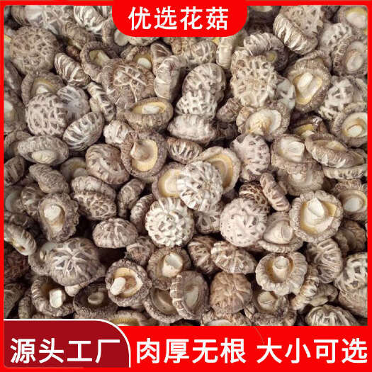 古田县精选肉厚花菇南北干货干香菇冬菇剪腿菌菇农产品产地批发一件代发