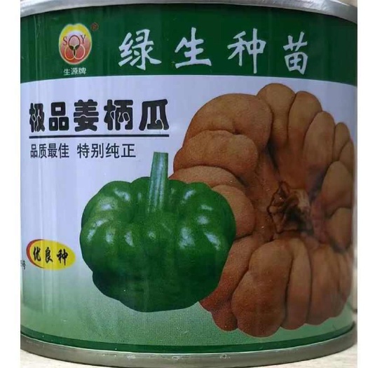 昆明姜柄瓜种子，中早熟，面甜适中，酥嫩爽口，抗病，基地专用