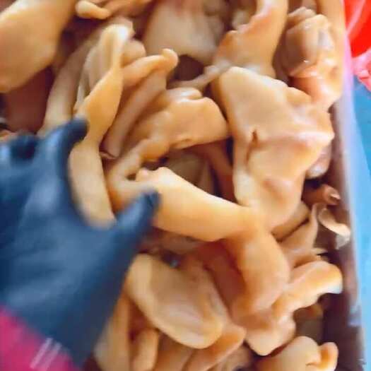 阳信县羊脸肉  羊杂汤原料 精修无油 爆炒凉拌佳品