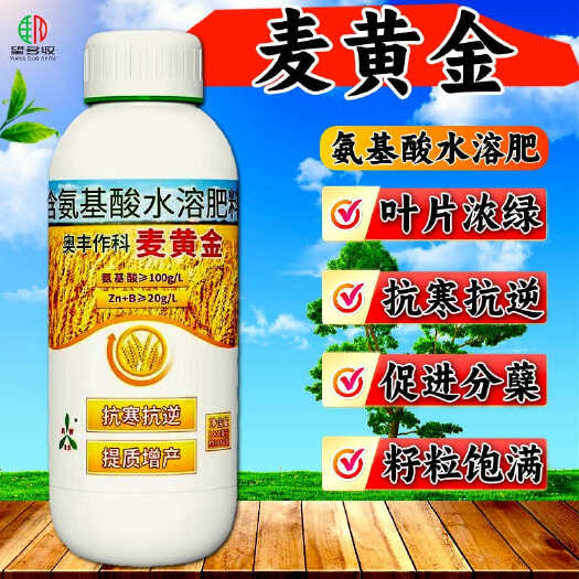 潍坊奥丰麦黄金小麦专用叶面肥促进分蘖返青籽粒饱满