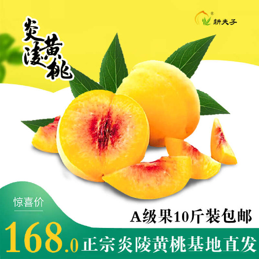 炎陵县耕夫子自营炎陵黄桃基地直发A级果保核心产区（正宗锦绣黄桃）