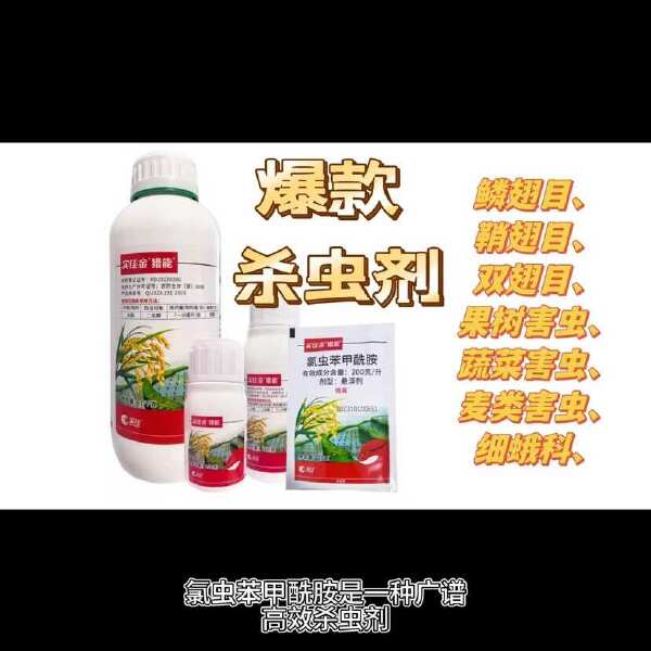 实佳金猎能20%氯虫苯甲酰胺 水稻二化螟蛀心虫蛀秆虫农药杀虫