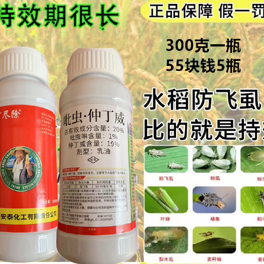 广西安泰20%仲丁威水稻稻飞虱褐飞虱柑桔木虱虫粉虱叶蝉蓟杀虫