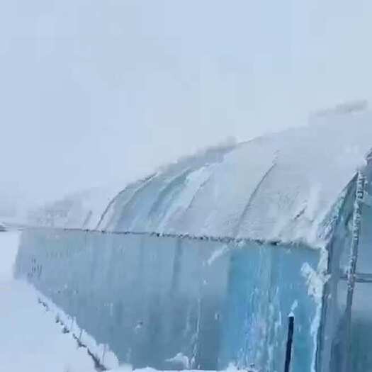 无锡抗风抗雪 高质量单体大棚 温室连体棚 规格齐全欢迎咨询