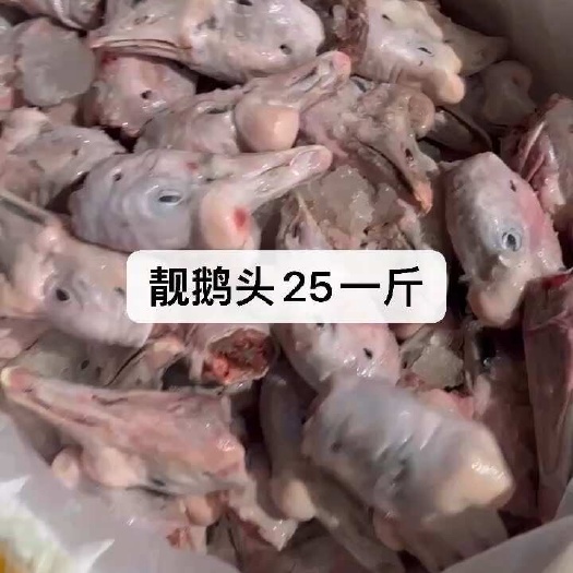 广州棚鹅头25 －斤20斤起批