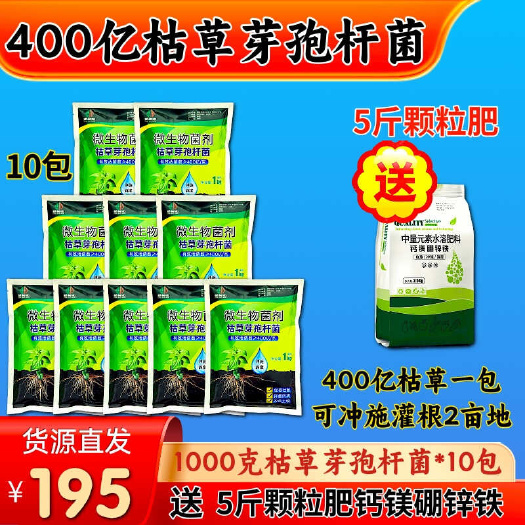 潍坊启明400亿枯草芽孢杆菌 生根改土防根腐抗重茬