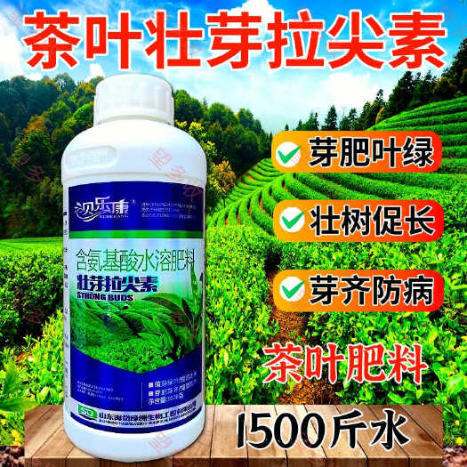 潍坊茶叶壮芽拉尖素 茶叶专用叶面肥