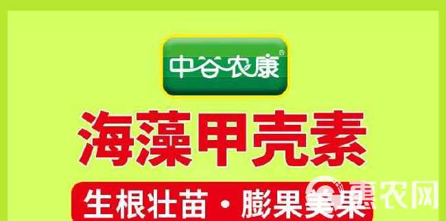 海藻甲壳素海藻精钾生根水溶肥桶肥桶装冲施肥