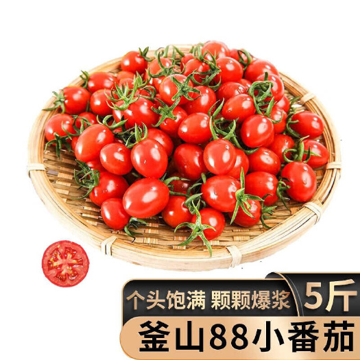 【顺丰包邮】釜山88小番茄2/3/4斤装