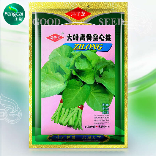 绵阳大叶青骨空心菜种子 耐病耐热耐湿 质嫩味香 清脆爽口