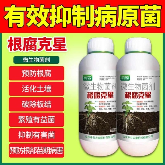 濰坊根腐克星根腐病專用藥灌根藥爛根死苗枯草芽孢菌桿菌微生物殺菌劑