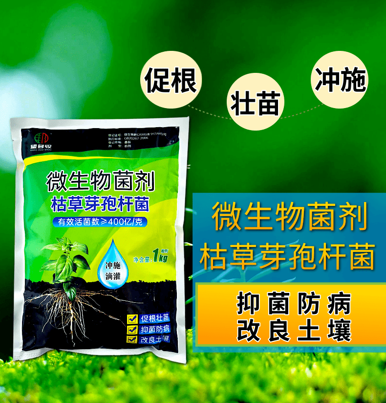 400亿枯草芽孢杆菌生根抗重茬防病害提苗壮棵枯草哈茨复合菌