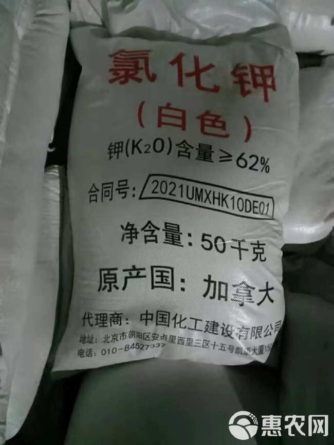 氯化钾62% 白钾 现货