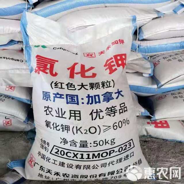 加拿大氯化钾60%晶体颗粒1吨起发