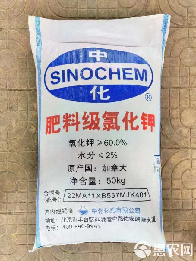 氯化钾62% 白钾 现货