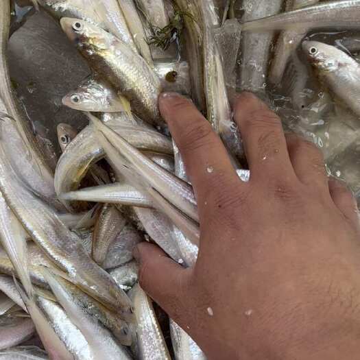 鱼台县大毛刀，小毛刀