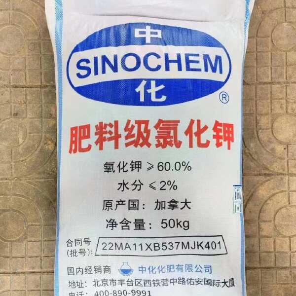 氯化钾62% 白钾 现货