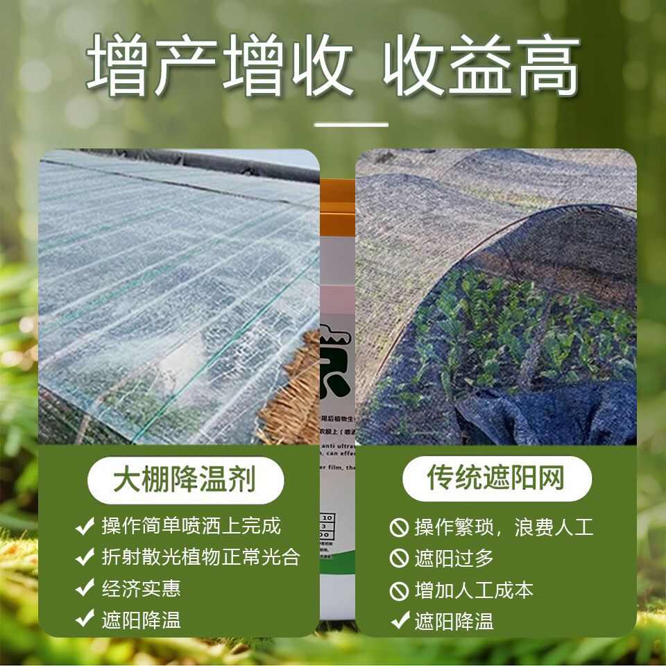 蔬菜大棚温室降温剂立凉大棚降温剂拱棚遮阳防晒涂料耐雨水冲刷