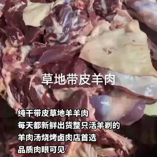 河间市纯干带皮草地羊羊肉