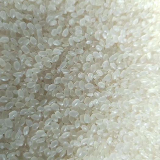 海伦市黑龙江珍珠米 圆粒米 批发