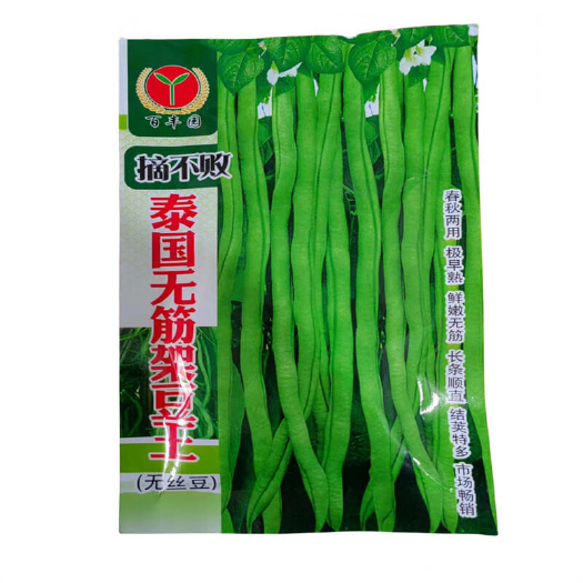 济南泰国无筋架豆王种子四季豆角种子芸豆无筋无筋地豆王无丝豆种子