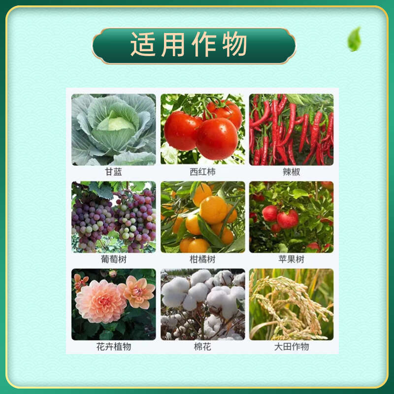 【禾豐沐野】戊唑醇43%斑點(diǎn)落葉病白粉病赤霉病真菌性殺菌劑