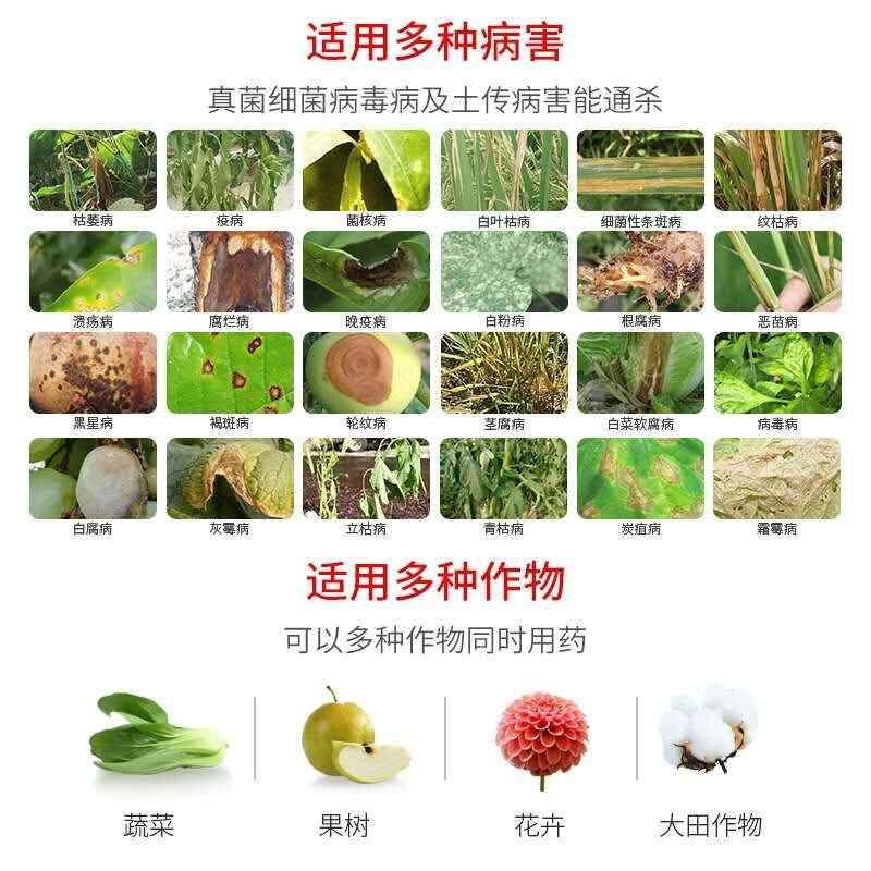 【正品】50%農(nóng)用氯溴異氰尿酸果樹蔬菜殺菌劑真菌細菌病毒病