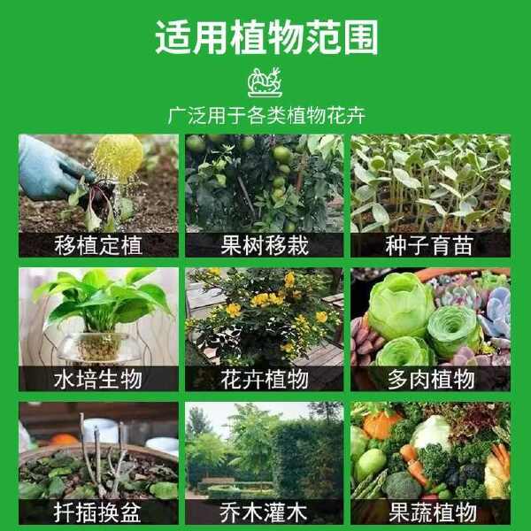 舒缓型颗粒硼肥作物通用生根壮苗叶面肥果树蔬菜抗重茬水溶肥