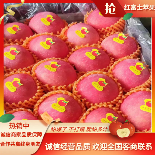 蒙阴县红富士苹果产地 全红果/条纹果大量供应 糖度高 脆甜