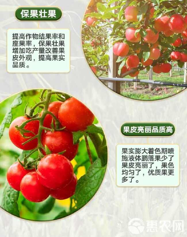 舒缓型颗粒硼肥作物通用生根壮苗叶面肥果树蔬菜抗重茬水溶肥