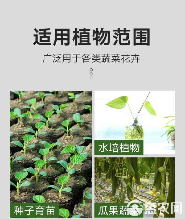 舒缓型颗粒硼肥作物通用生根壮苗叶面肥果树蔬菜抗重茬水溶肥