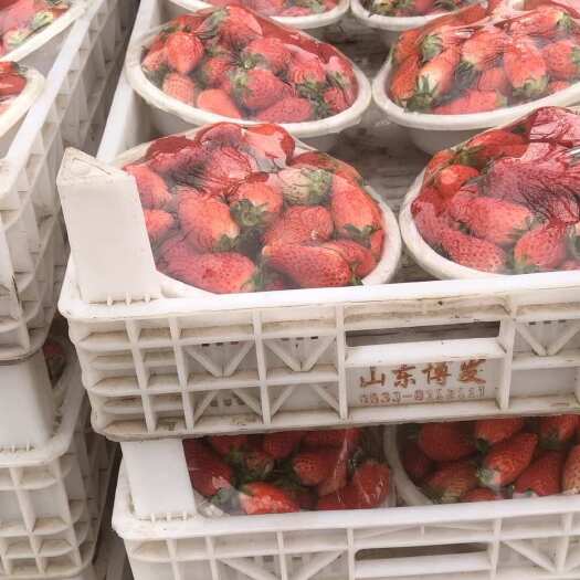济南济南唐王甜宝