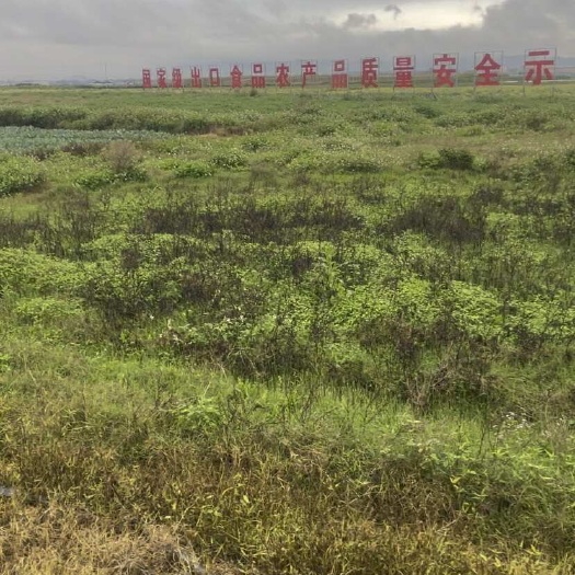 贺州小龙虾养殖用地