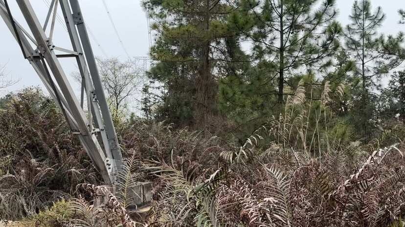 灵川县猛禽战斗机！航母弹射起飞的土鸡