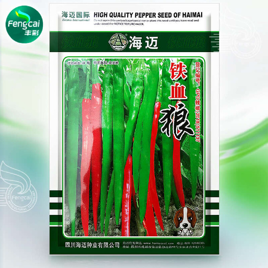 绵阳铁血狼薄皮线椒 辣椒种子杂交种 果长20-24cm