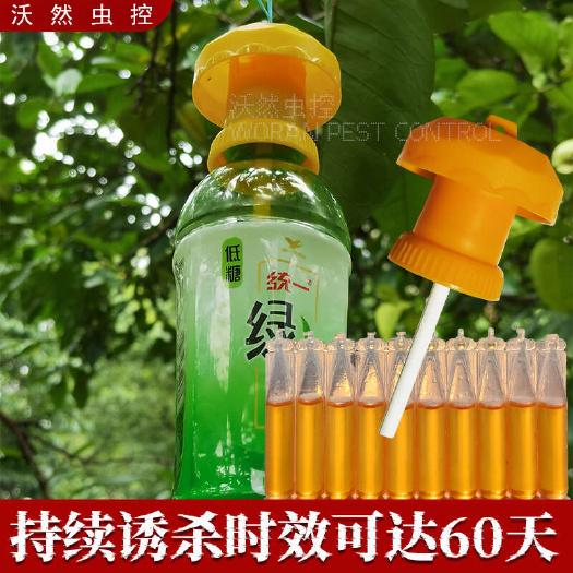 长沙瓜果实蝇诱捕盖头果园瓜菜地针蜂桔小蝇诱捕蔬菜水果实蝇药水