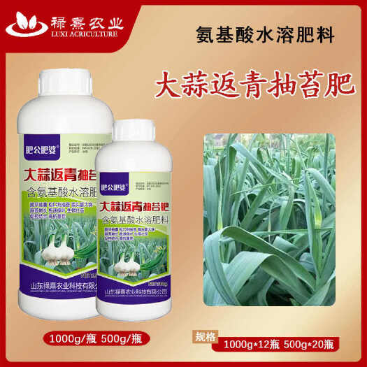 长沙大蒜返青抽苔肥出苔齐蒜头大蒜薹粗促氨基酸增产专用肥正品叶面