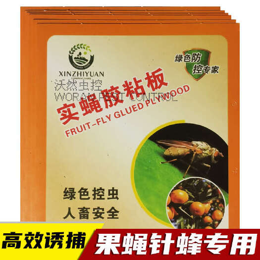 长沙瓜果实蝇粘胶板果园瓜地实蝇针蜂桔小蝇诱虫板雌雄双杀英格尔黄板